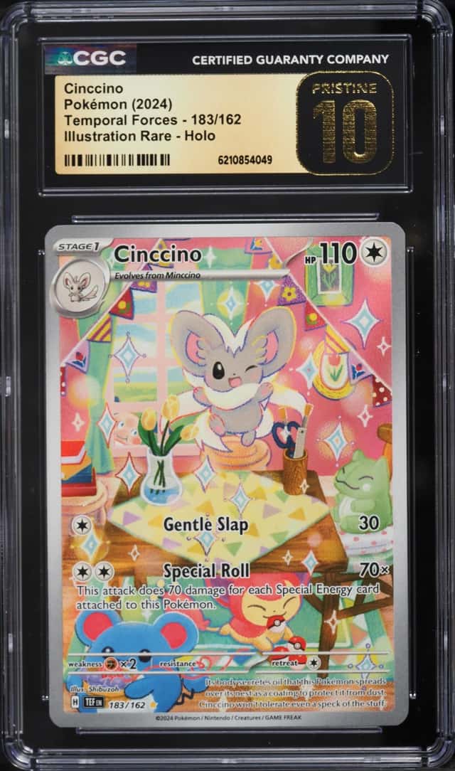 Cinccino