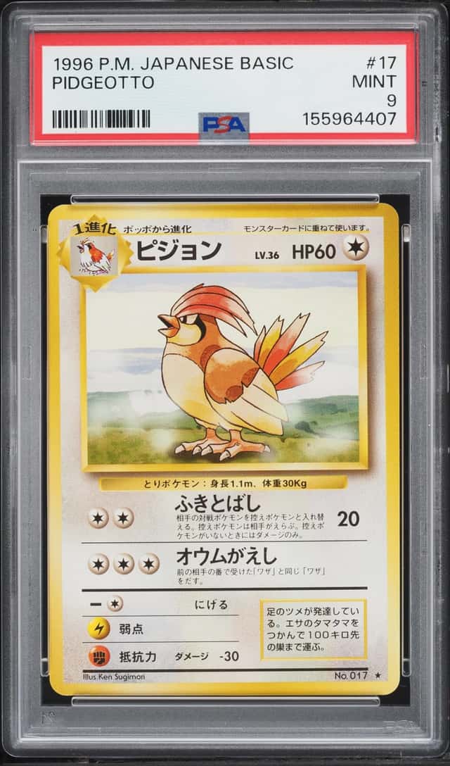 Pidgeotto