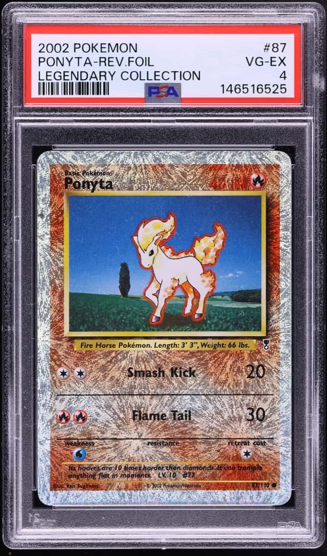 Ponyta