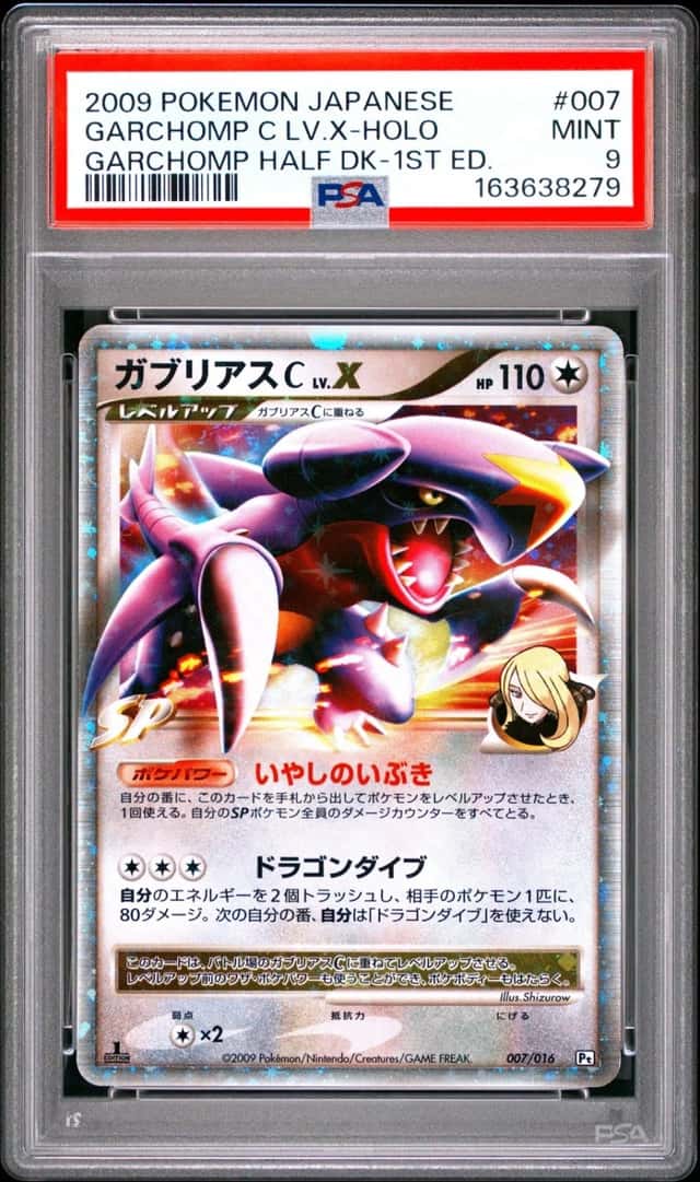 GARCHOMP C LV.X