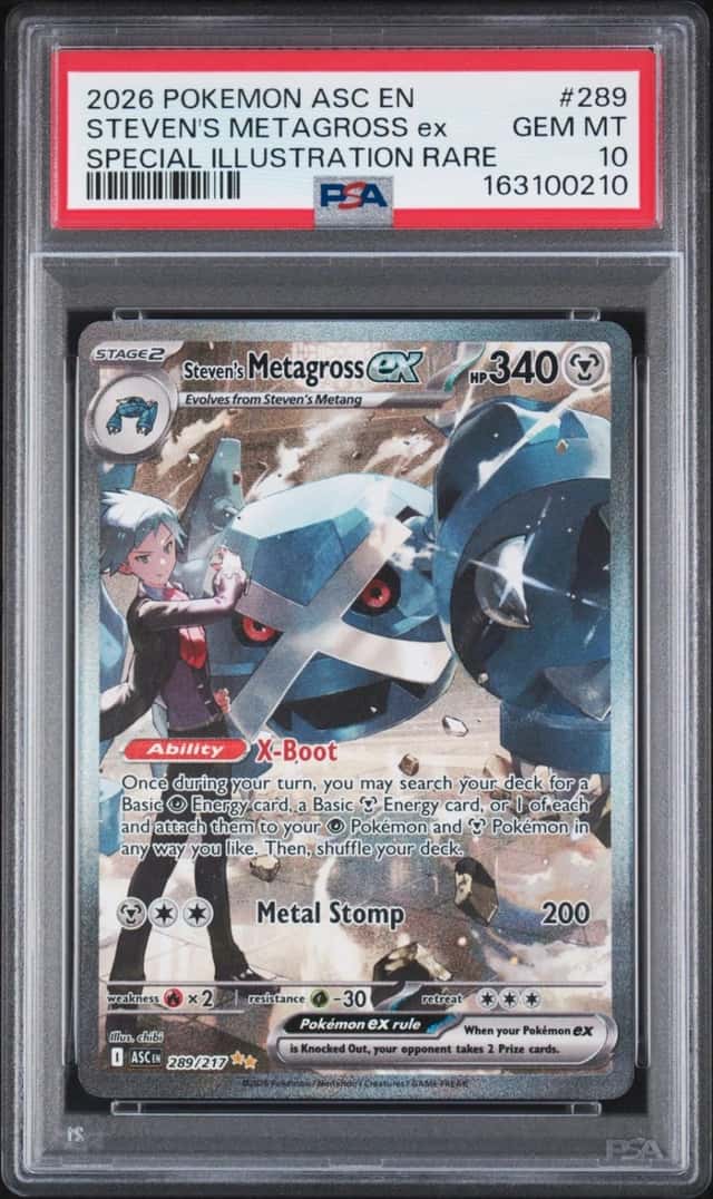 STEVEN'S METAGROSS ex
