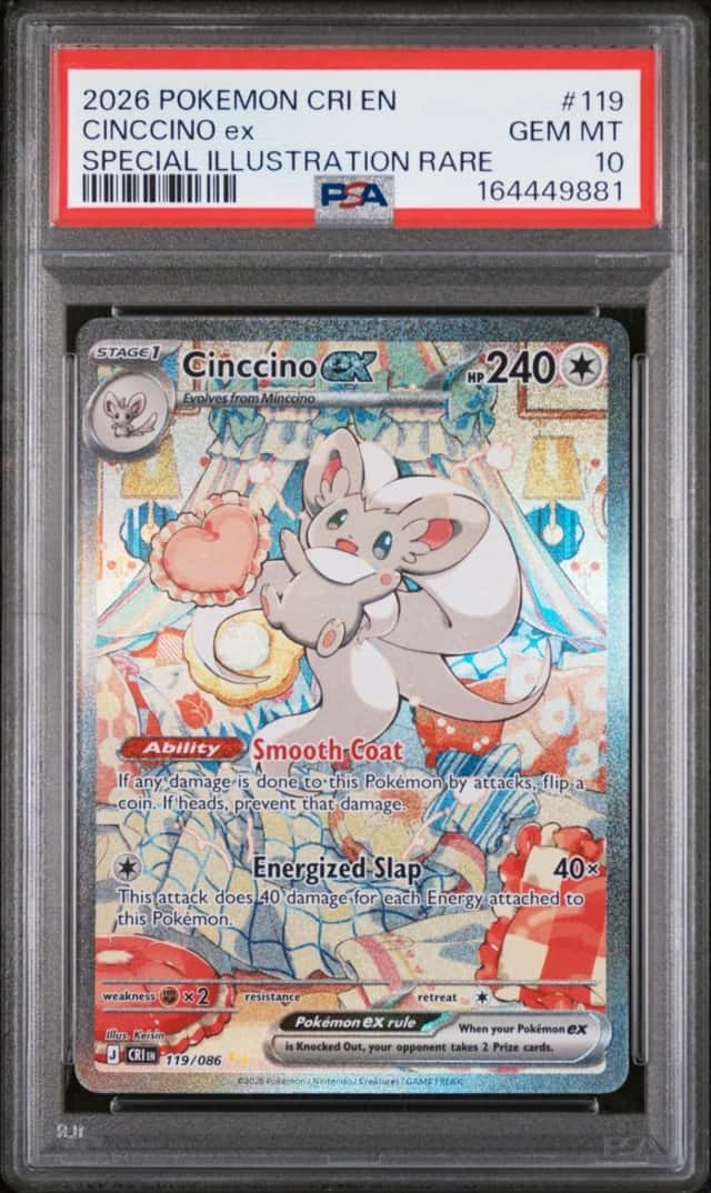 CINCCINO ex