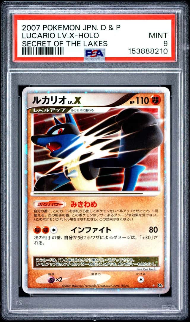 Lucario Lv X
