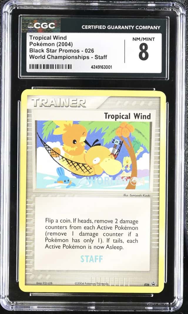 Tropical Wind