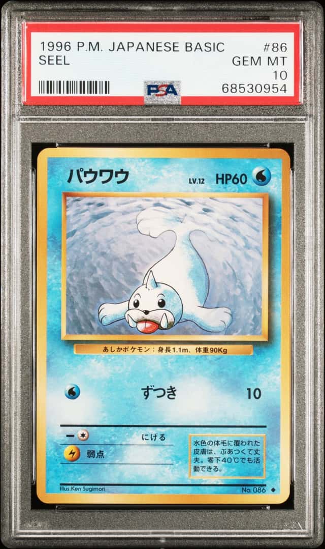 Seel