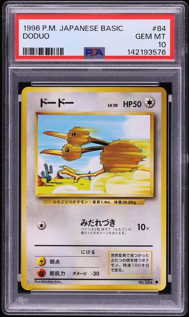Doduo