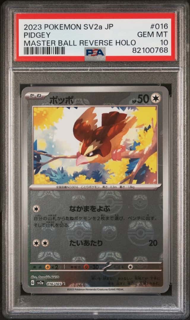 Pidgey