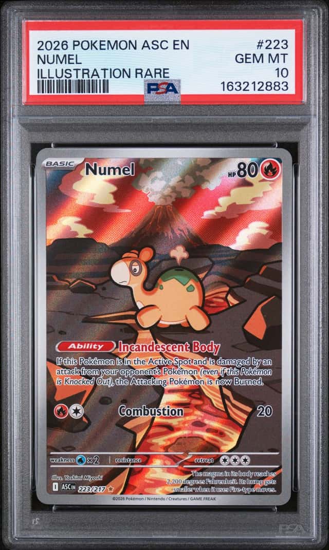 Numel