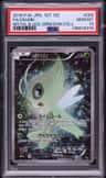 Celebi
