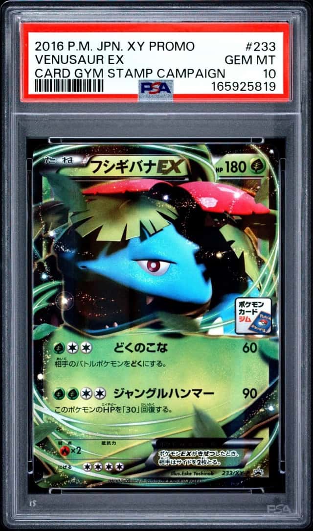 Venusaur EX