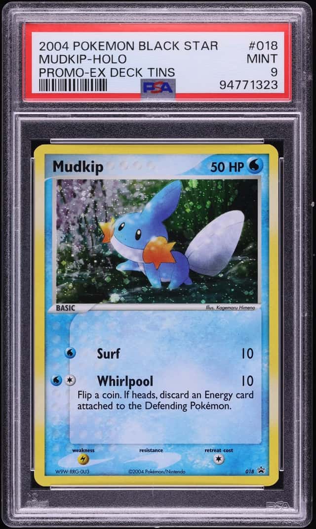 Mudkip