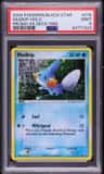 Mudkip