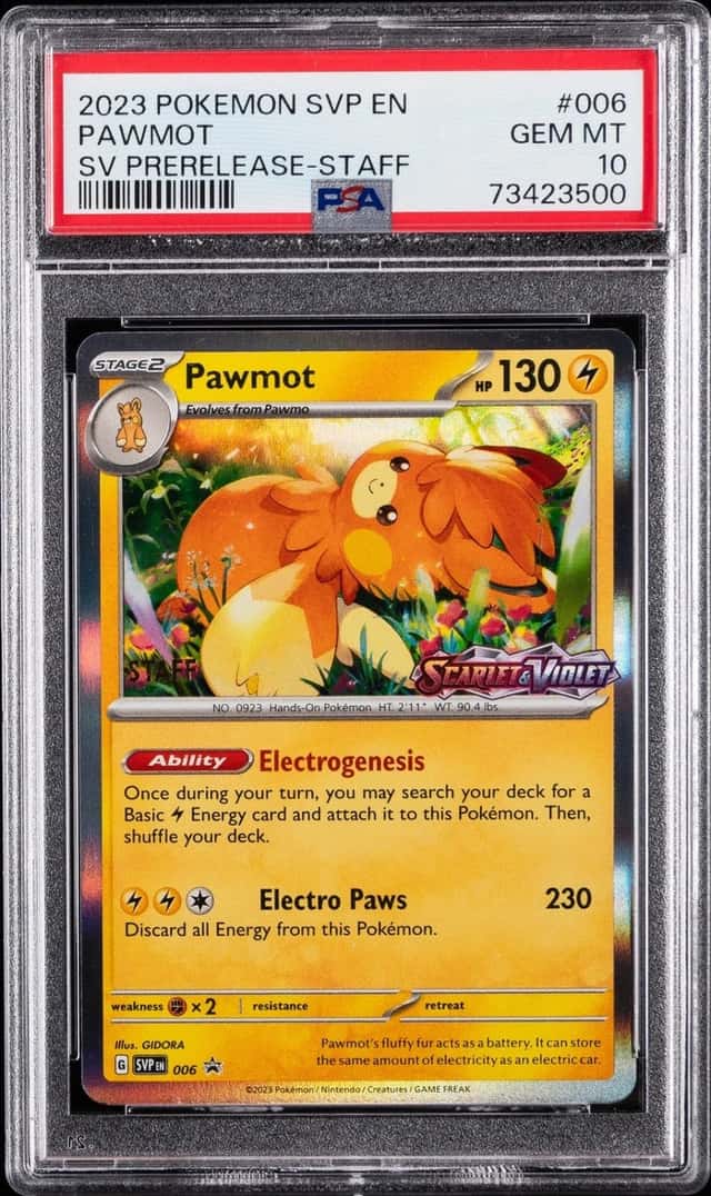 Pawmot