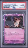 Team Rocket'S Mimikyu