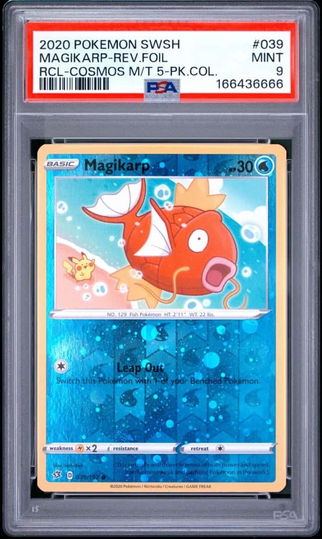Magikarp
