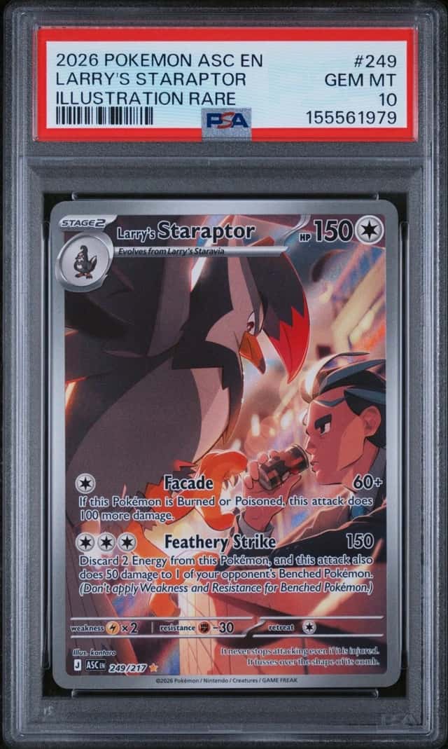 Larry's Staraptor