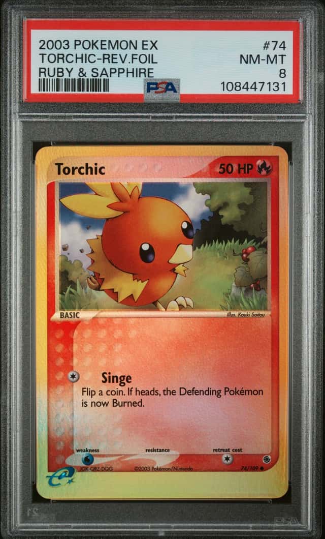 Torchic