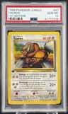 Tauros