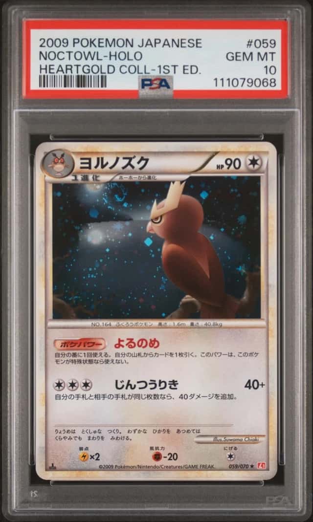 Noctowl