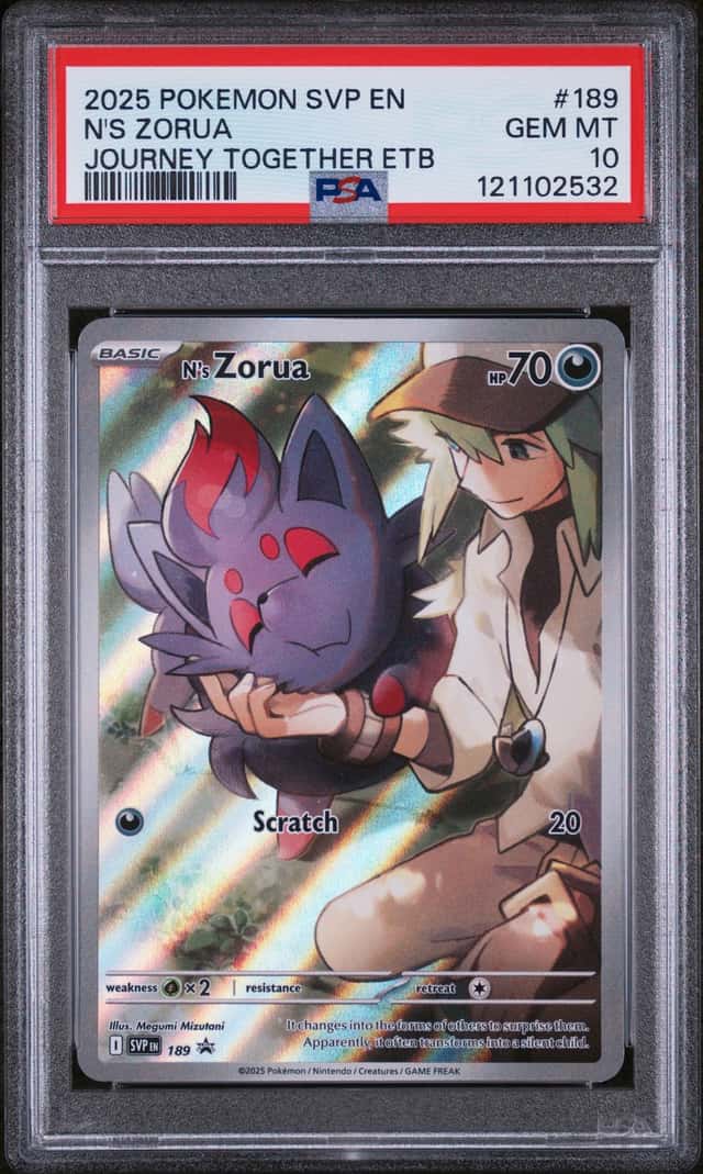 N's Zorua