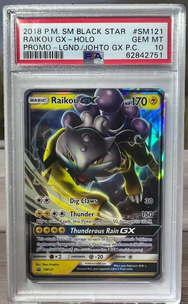Raikou GX