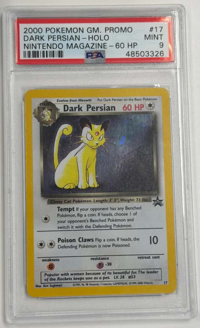Dark Persian
