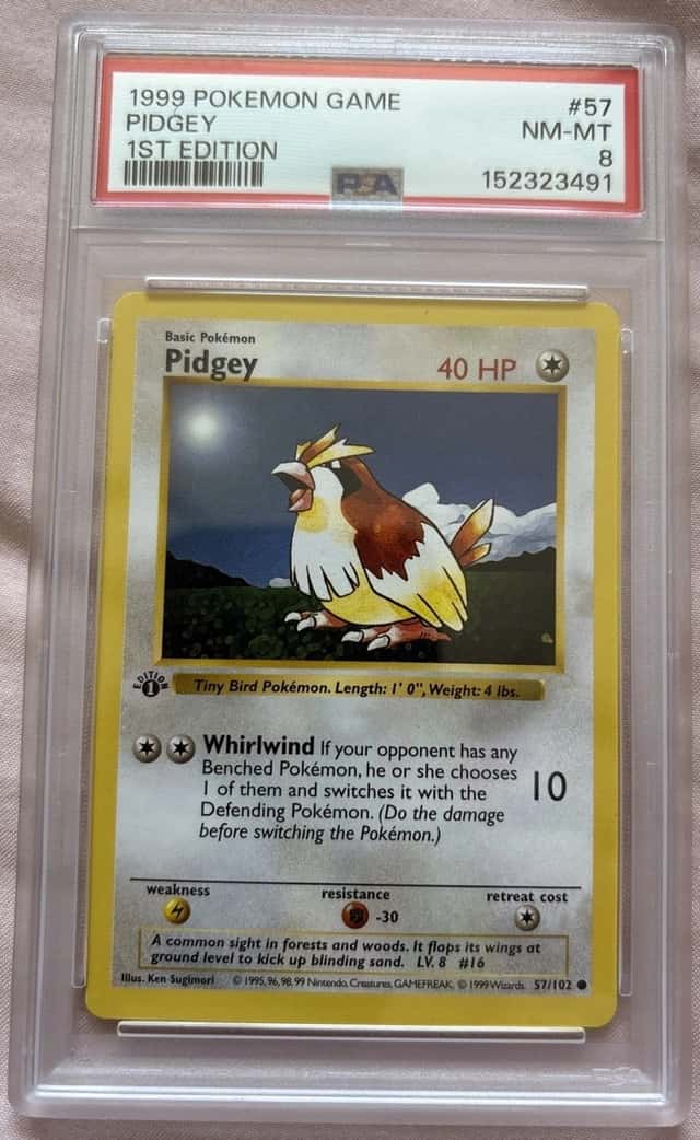 Pidgey