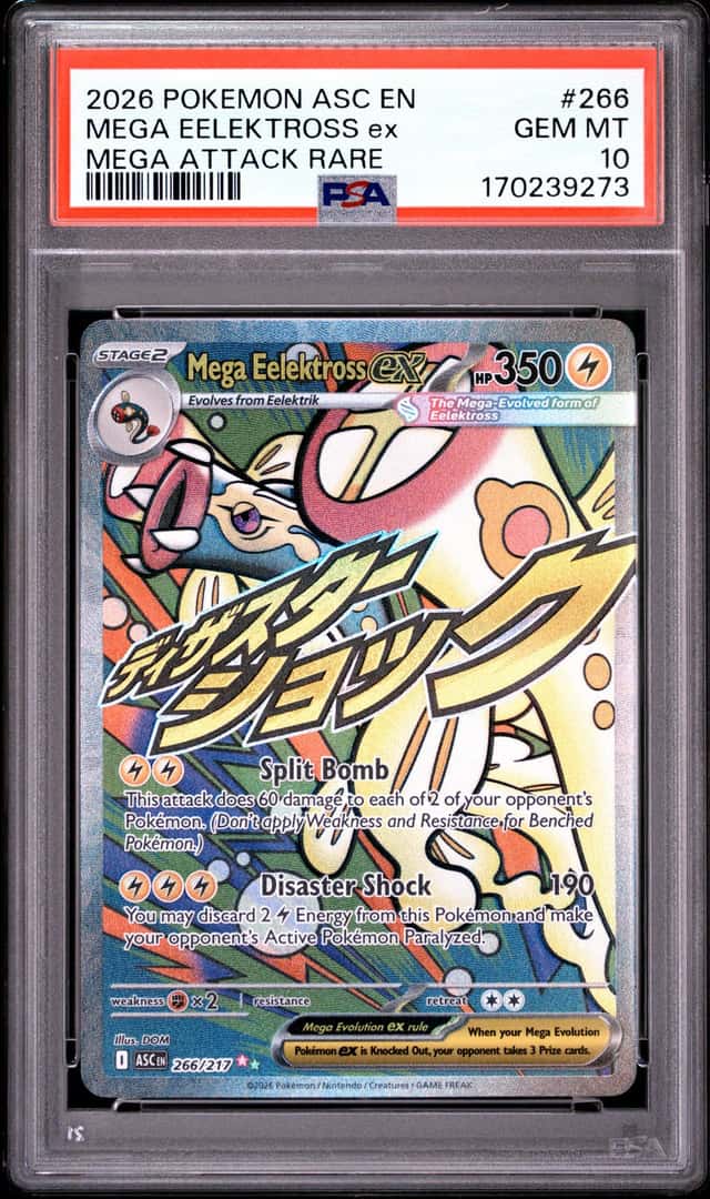MEGA EELEKTROSS ex