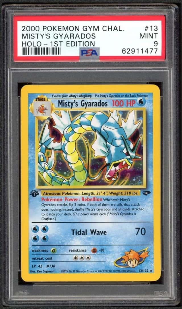 Misty's Gyarados