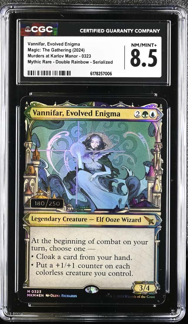 Vannifar, Evolved Enigma