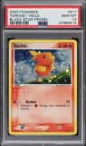 Torchic
