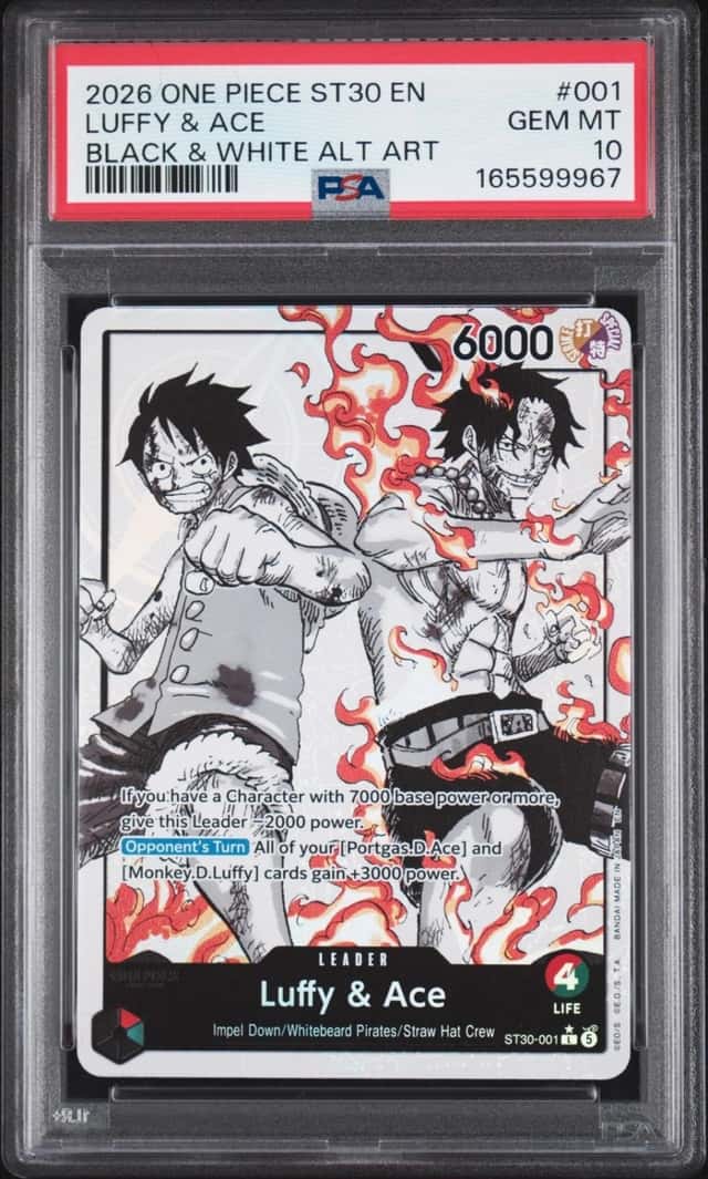 Luffy & Ace