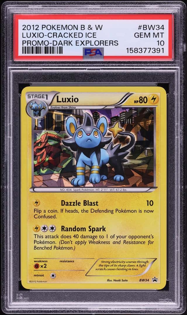 Luxio-Cracked Ice