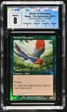 Birds Of Paradise