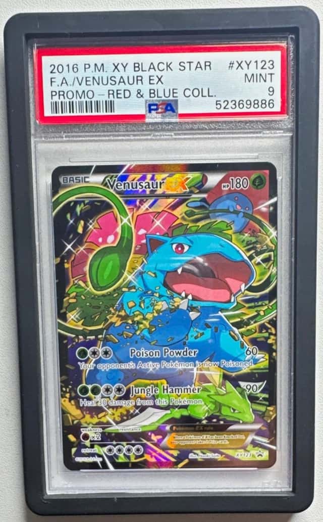 Venusaur EX