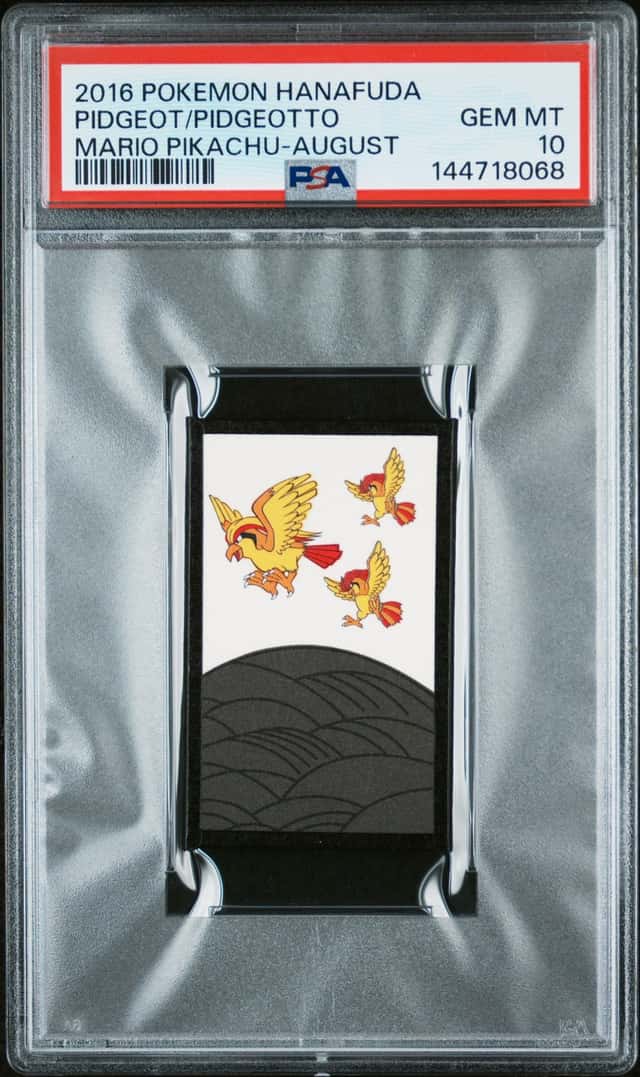 Pidgeot/Pidgeotto
