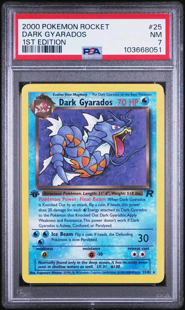 Dark Gyarados