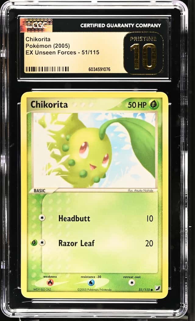 Chikorita