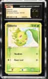 Chikorita
