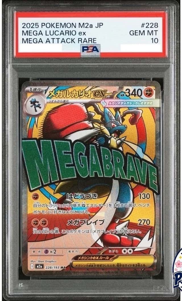 MEGA LUCARIO ex