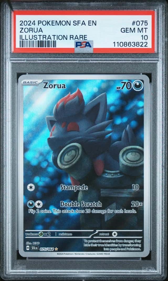 Zorua
