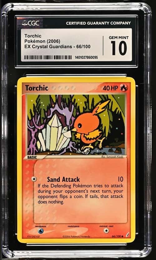Torchic