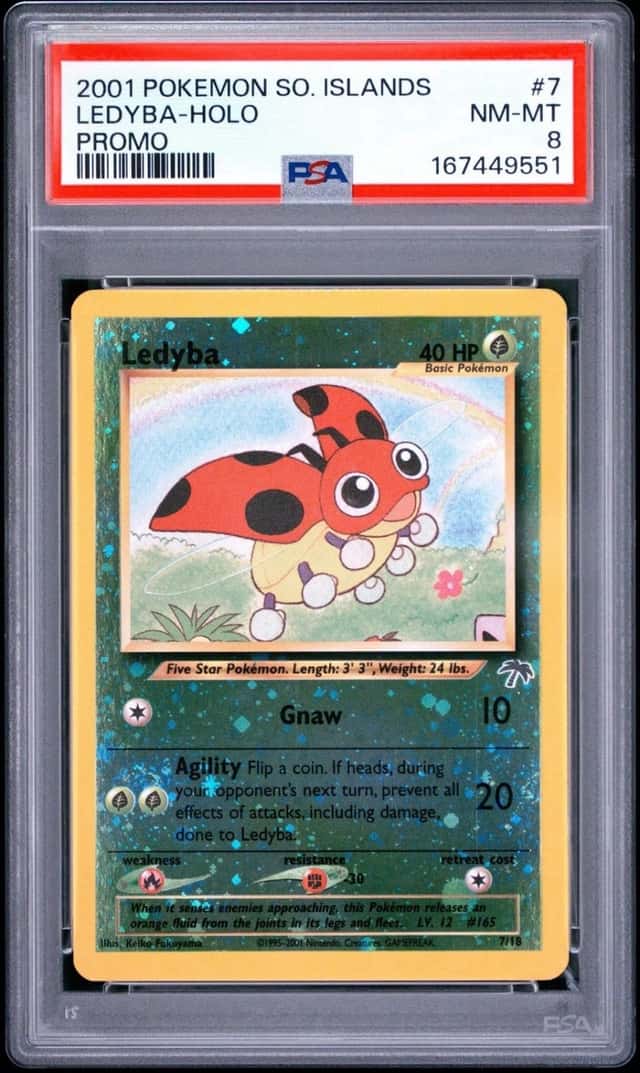 Ledyba
