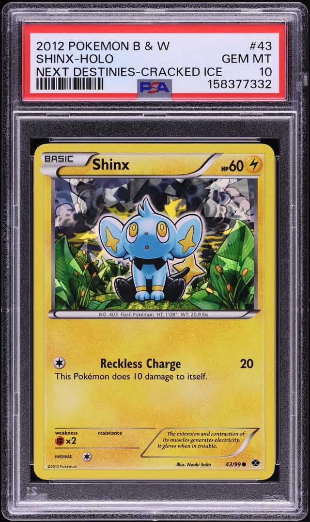 Shinx