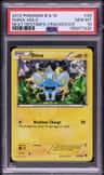 Shinx