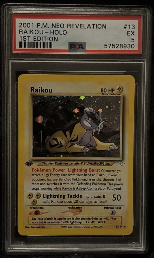 Raikou