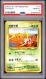 Shuckle