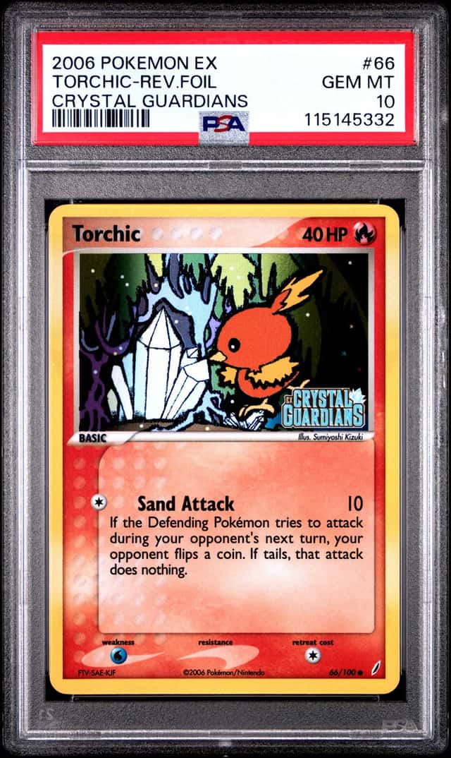 Torchic