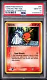Torchic