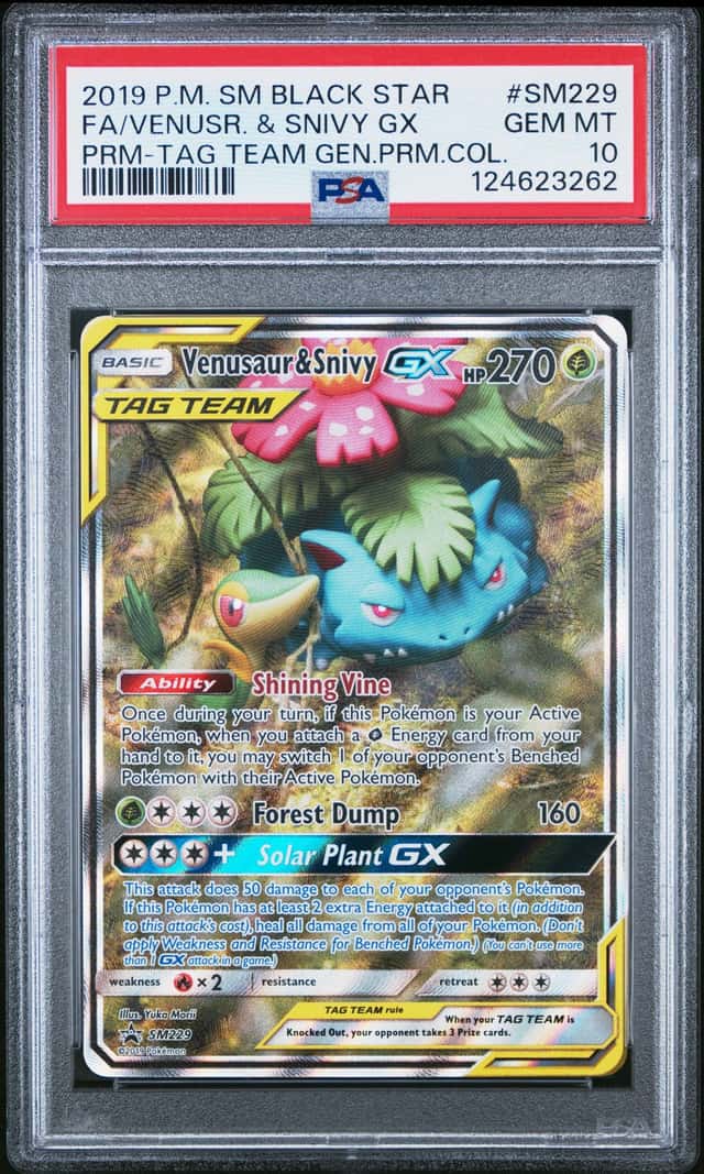 Venusaur & Snivy GX